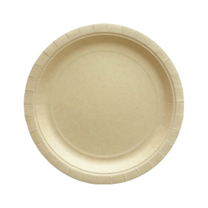 Bamboo Pulp Products